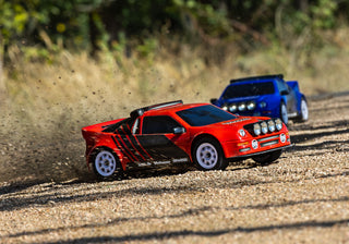 Mini Rally VXL Ford RS200