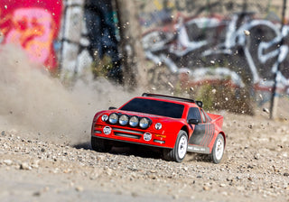 Mini Rally VXL Ford RS200
