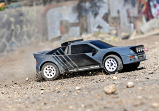 Mini Rally VXL Ford RS200