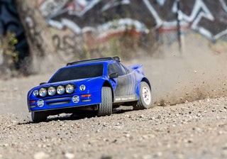 Mini Rally VXL Ford RS200
