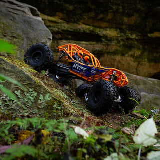 1/10 RBX10 Ryft 4X4 RTR Brushless Rock Bouncer