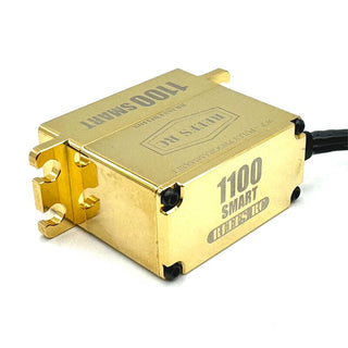 1100 Smart Brass Edition Servo